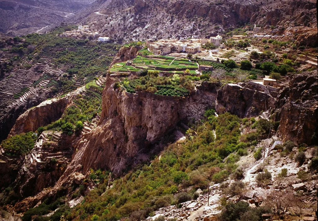 Terraced gardens of Jebel Akhdar