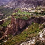 Terraced gardens of Jebel Akhdar