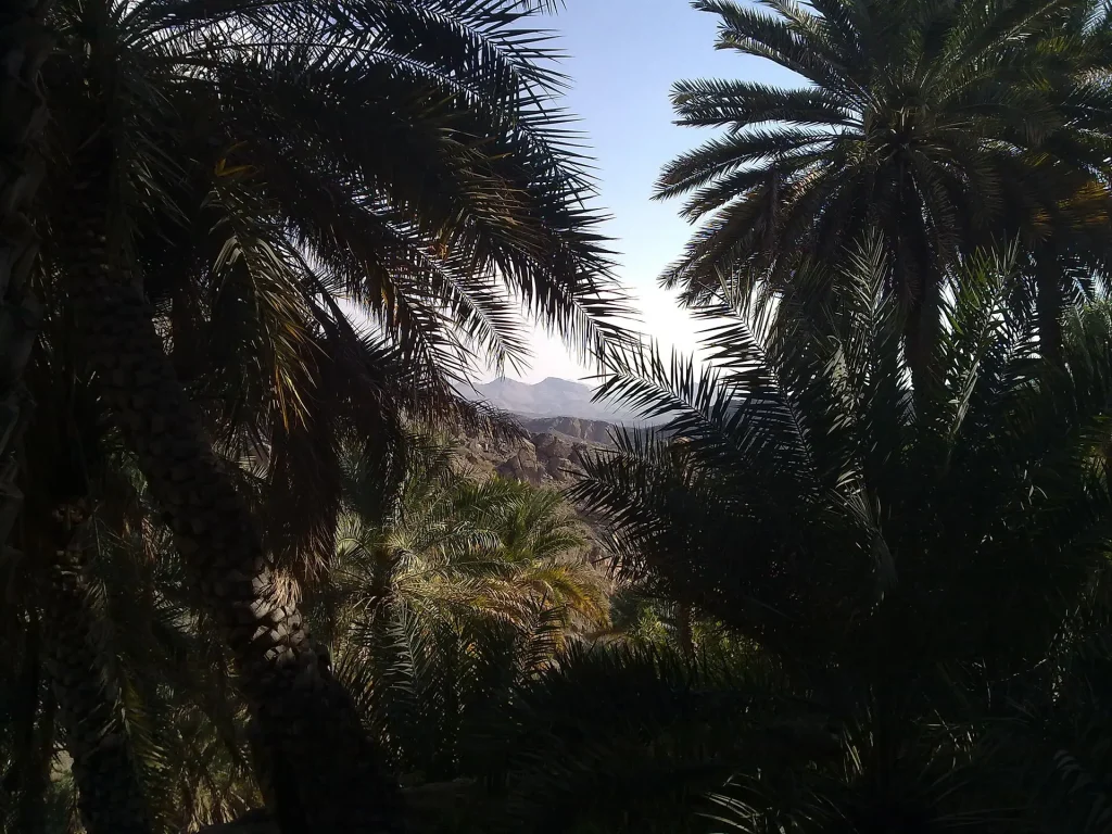 Traditional houses in Misfat al Abriyeen