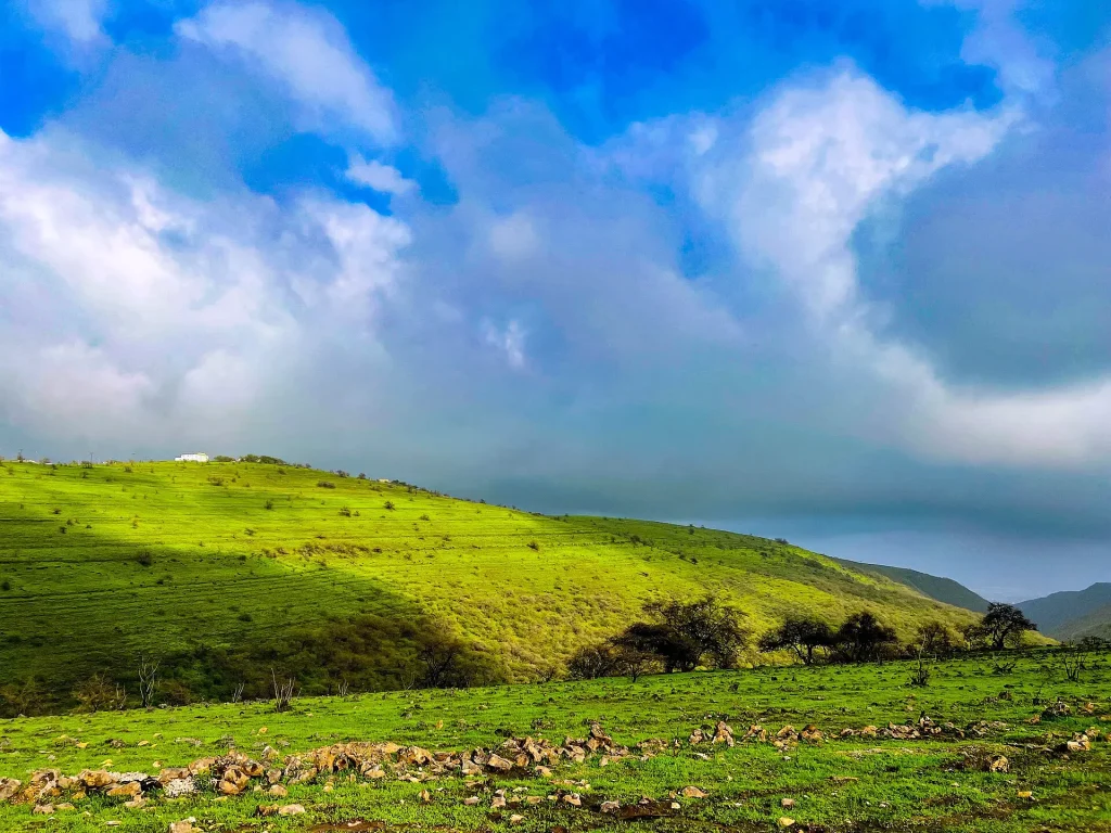 Misty hills of Salalah in khareef