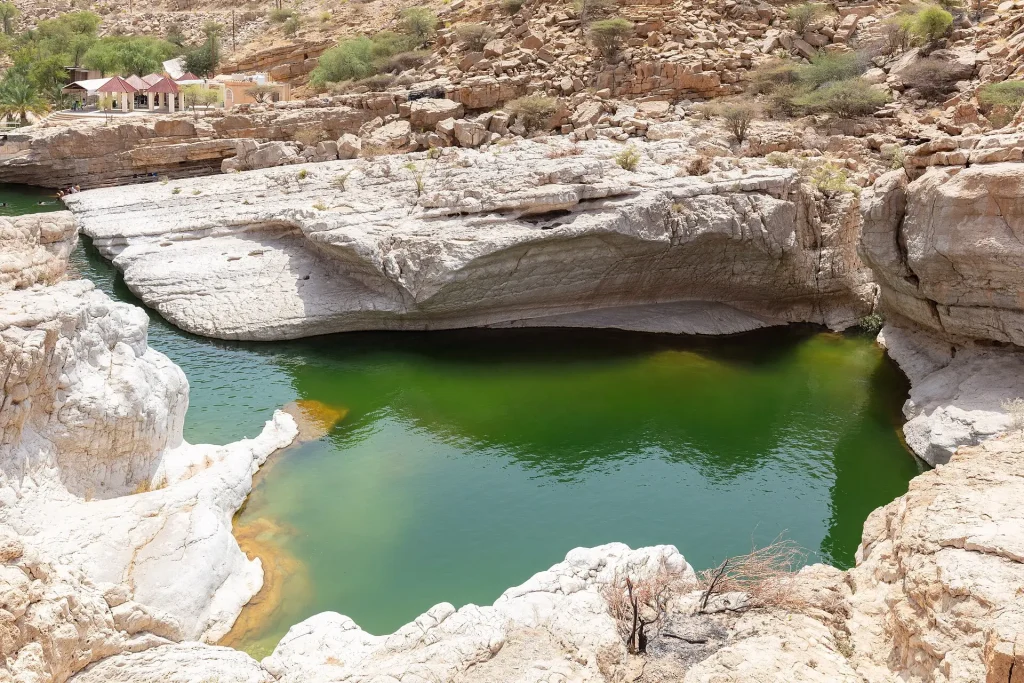 Palm trees around the pools of Wadi Bani Khalid