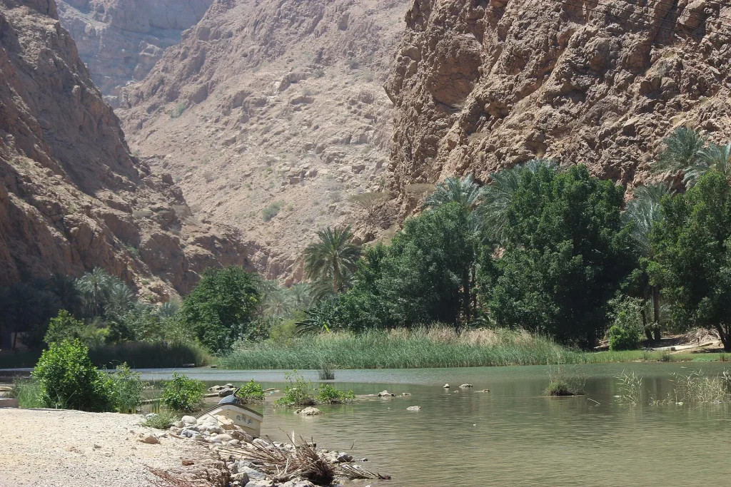 Palm trees and turquoise water at the entrance of Wadi Shab