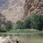 Palm trees and turquoise water at the entrance of Wadi Shab