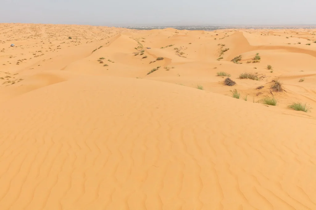 Desert landscape in the Sharqiya (Wahiba) Sands