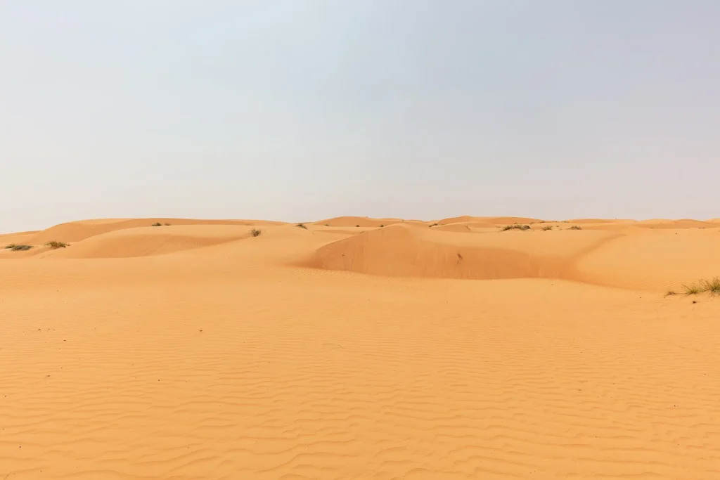 Golden sand dunes of Wahiba Sands, Oman