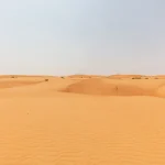 Golden sand dunes of Wahiba Sands, Oman